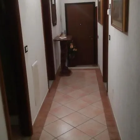 L'agrifoglio *