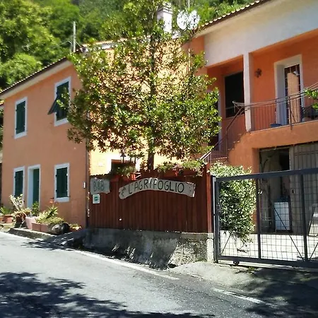 L'agrifoglio Bed & Breakfast