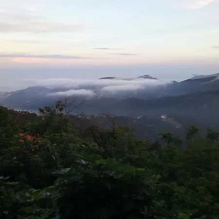 Frühstückspension L'agrifoglio *