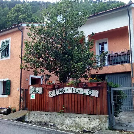 Bed & Breakfast L'agrifoglio Magliolo