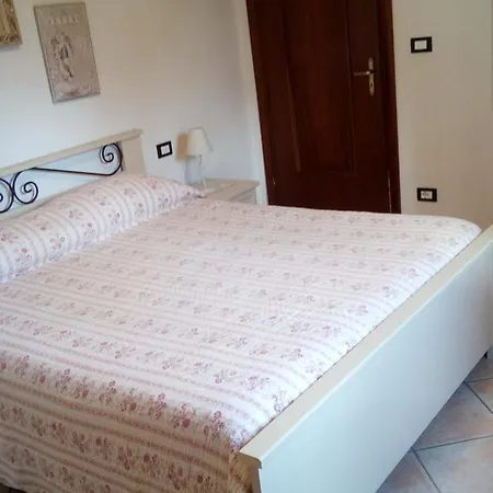 L'agrifoglio Magliolo