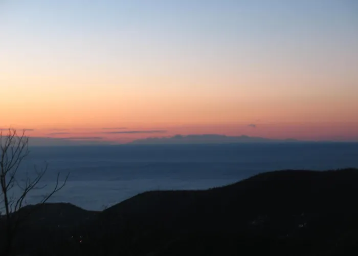 Bed & Breakfast L'agrifoglio Magliolo