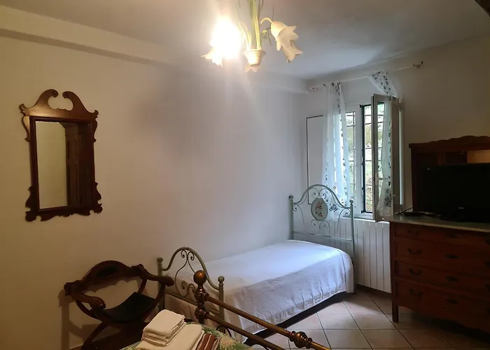 L'agrifoglio * Magliolo