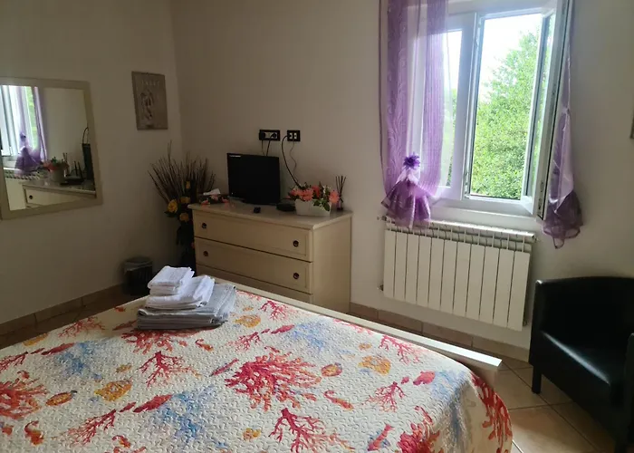 L'agrifoglio Magliolo