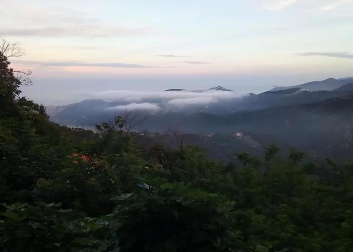 Bed & Breakfast L'agrifoglio *