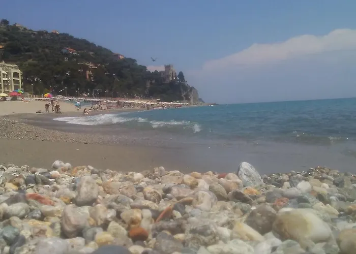 L'agrifoglio * Magliolo