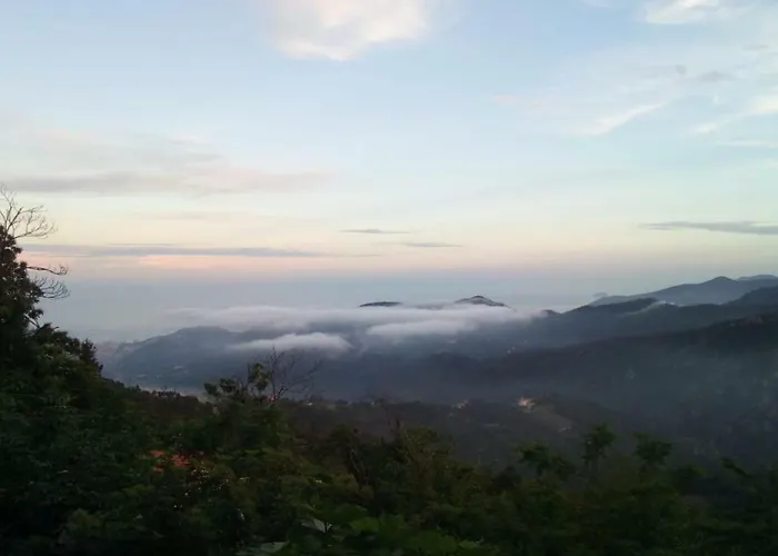 Bed & Breakfast L'agrifoglio